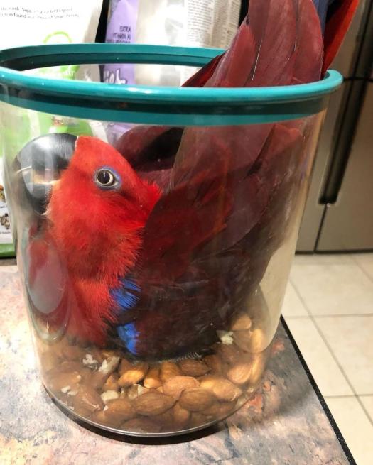 IMG_20180615_110957_094