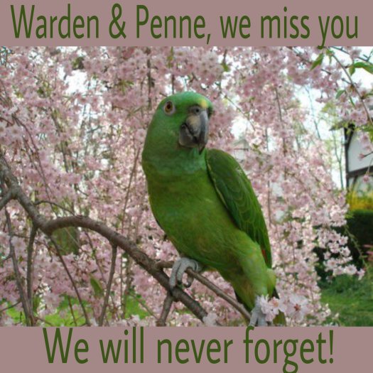 Remembering Penne