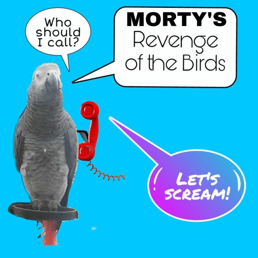 Morty - Sept edition