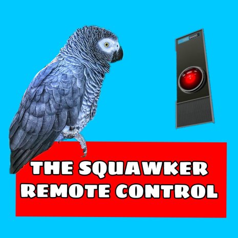 Morty - October edition