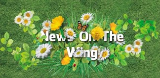 ephoto_1551840068350