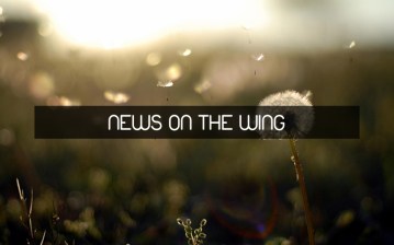 ephoto_1552237583487