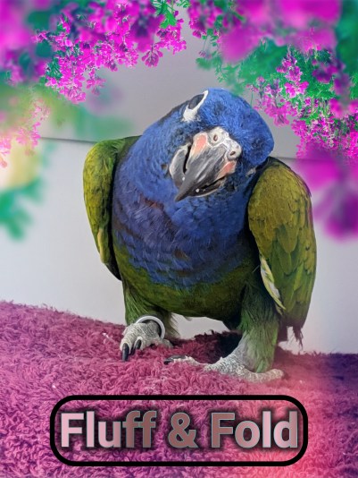 photostudio_1553651658727