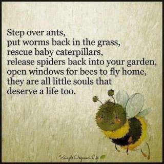 FB_IMG_1559506207699