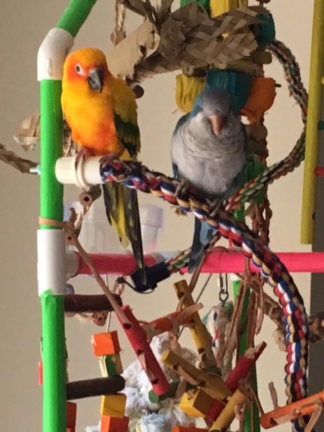 Zack &amp; Bubbs 4-2018